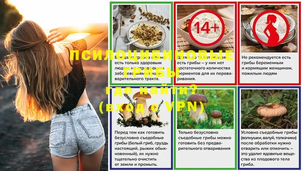 спайс Пересвет